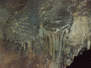 Cave discs in Lehman Cave, Great Basin National Park